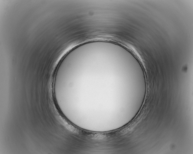 X0000091311235200708101102