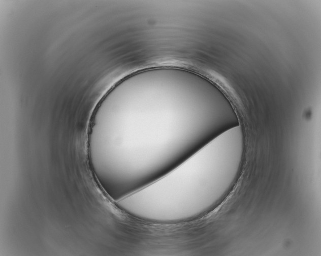 X0000091311236200708101102