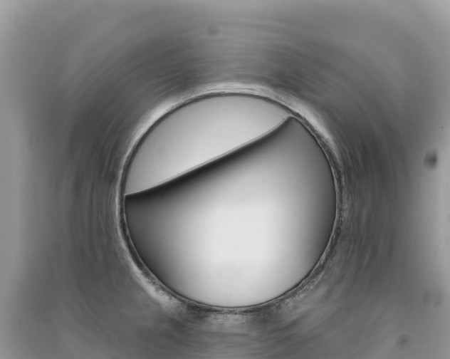 X0000091311237200708101102