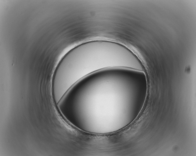X0000091311238200708101102