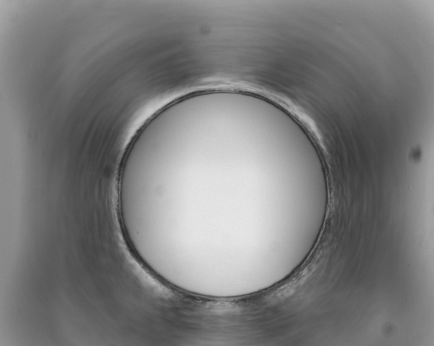 X0000091311239200708101102