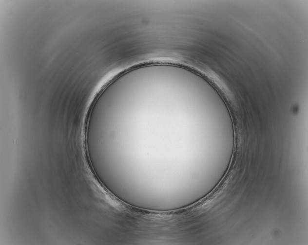 X0000091311240200708101102