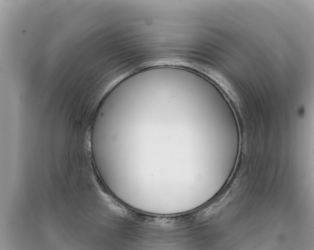 X0000091311241200708101102