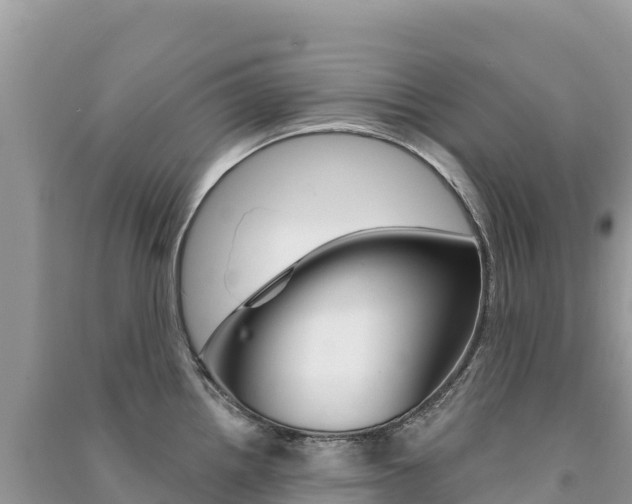 X0000091311242200708101102