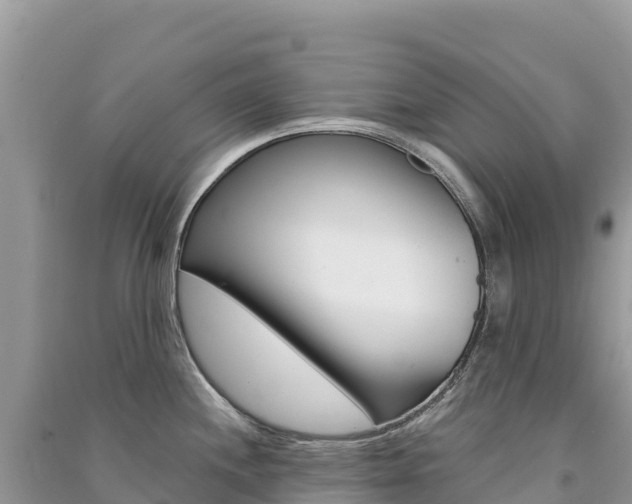 X0000091311244200708101102
