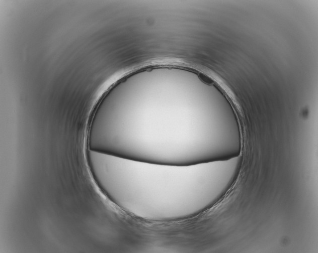 X0000091311245200708101102