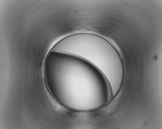 X0000091311246200708101102