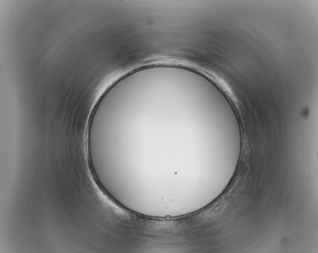 X0000091311247200708101102