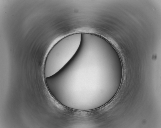 X0000091311248200708101102