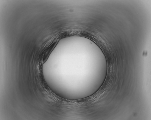X0000091311250200708101101