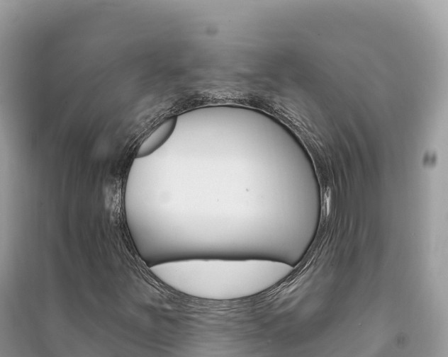 X0000091311251200708101101
