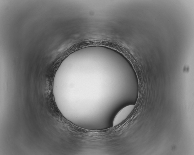 X0000091311253200708101101