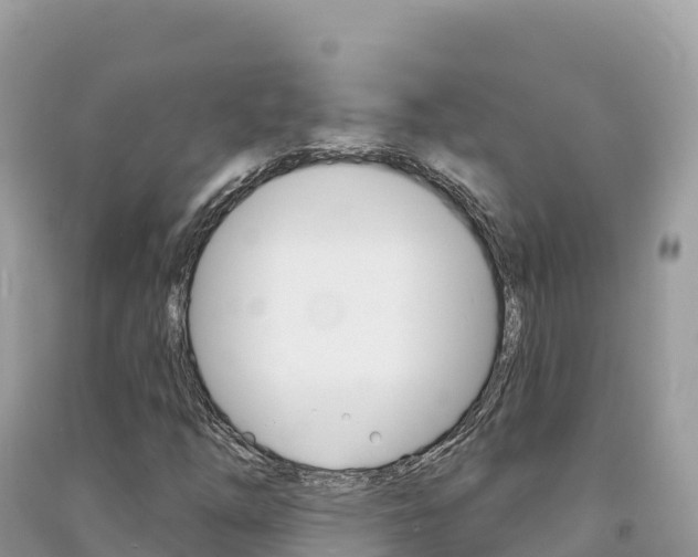 X0000091311254200708101101