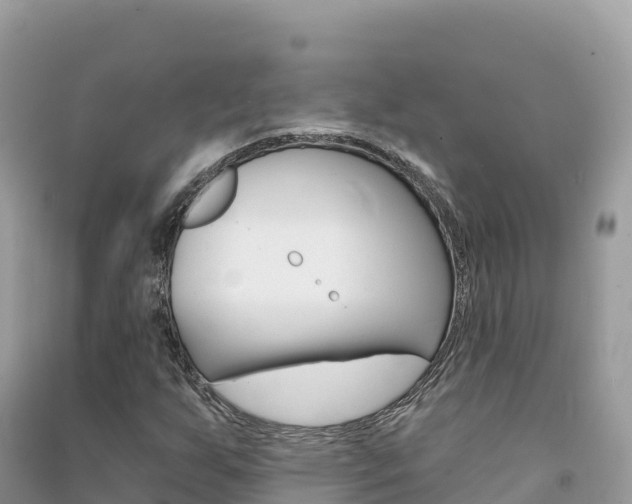 X0000091311255200708101101