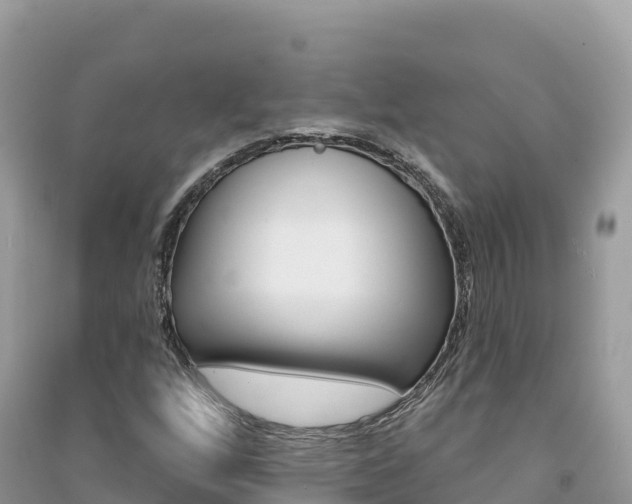 X0000091311256200708101101