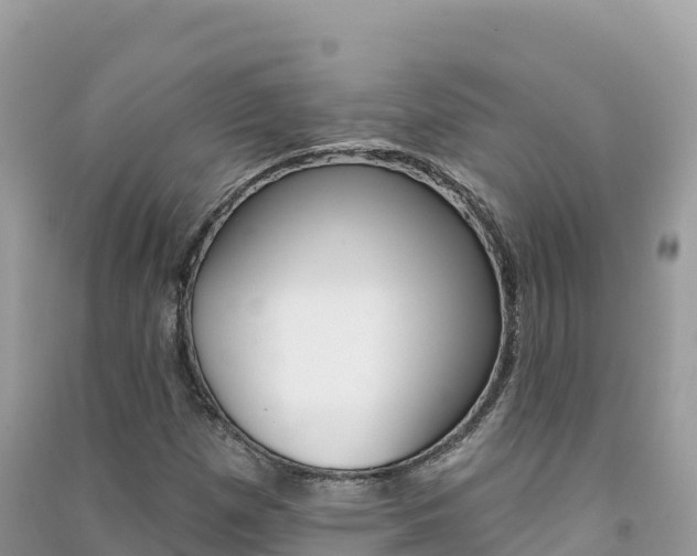 X0000091311257200708101101