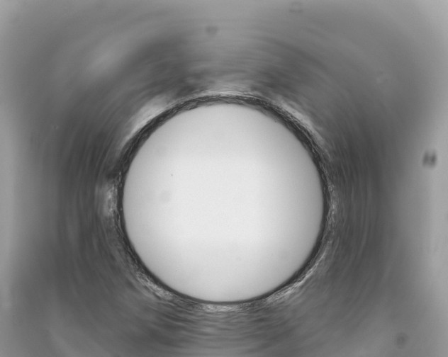 X0000091311258200708101101