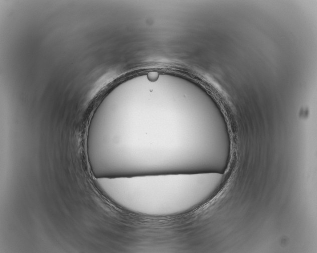X0000091311259200708101101