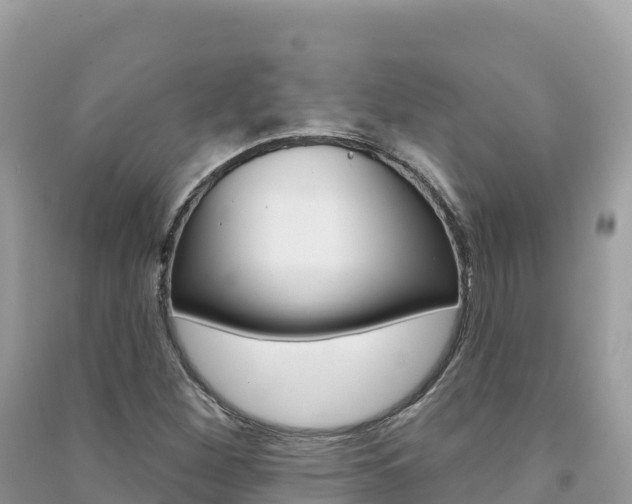 X0000091311260200708101101