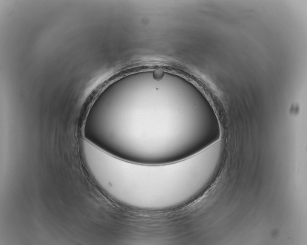 X0000091311261200708101101