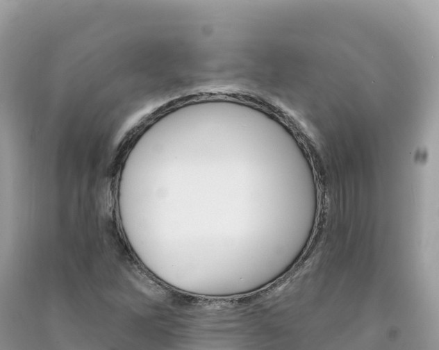 X0000091311262200708101101