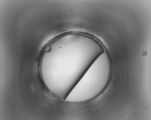 X0000091311263200708101101