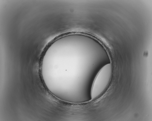 X0000091311264200708101101