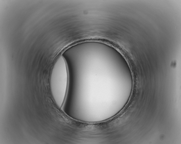 X0000091311265200708101101