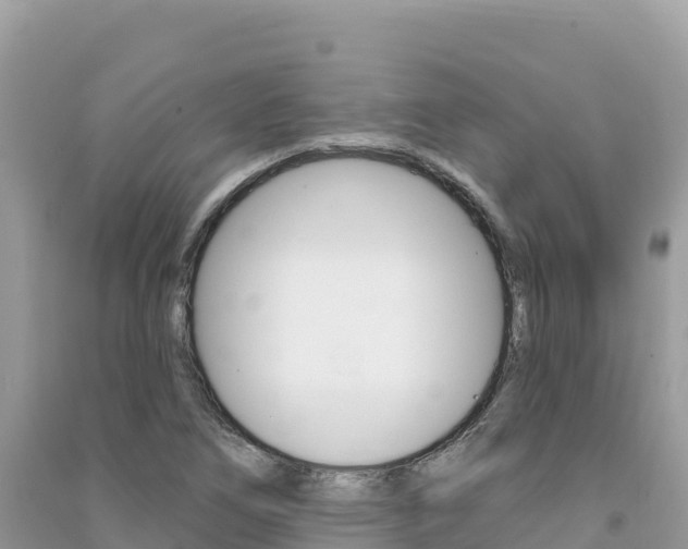 X0000091311266200708101101