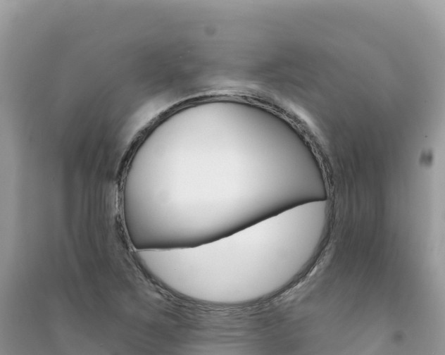 X0000091311267200708101101