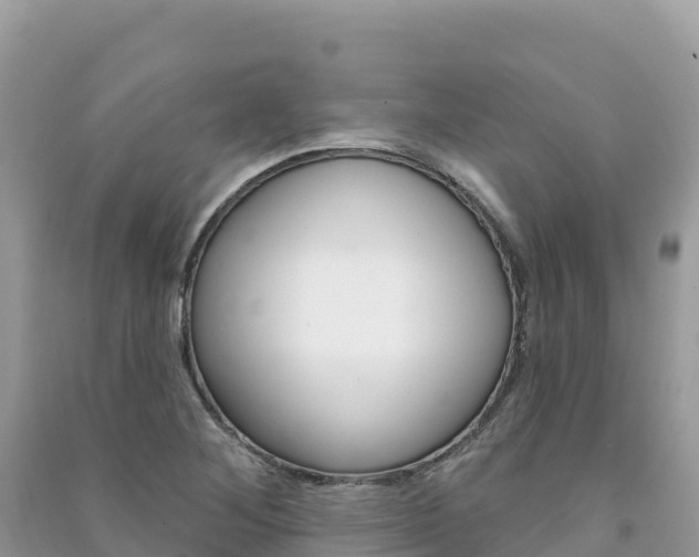 X0000091311268200708101101