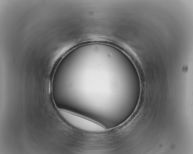 X0000091311269200708101101