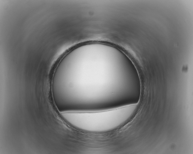 X0000091311270200708101101