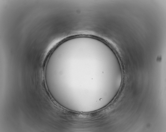 X0000091311271200708101101