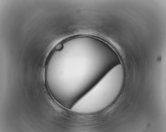 X0000091311272200708101101
