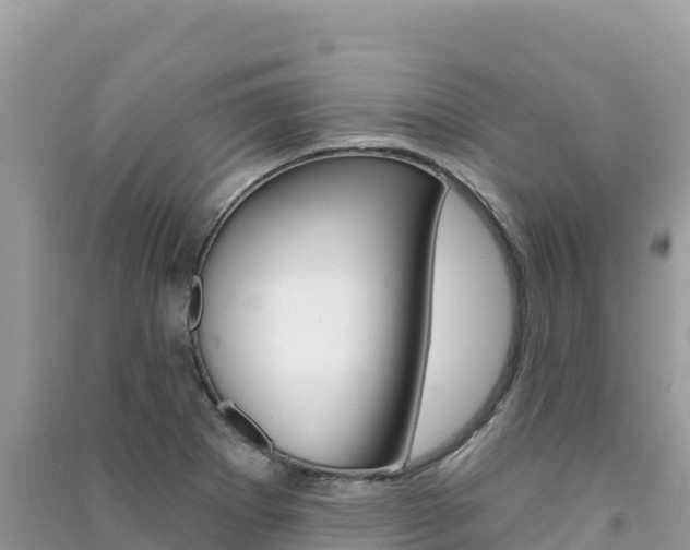 X0000091311273200708101101