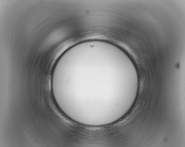 X0000091311274200708101101