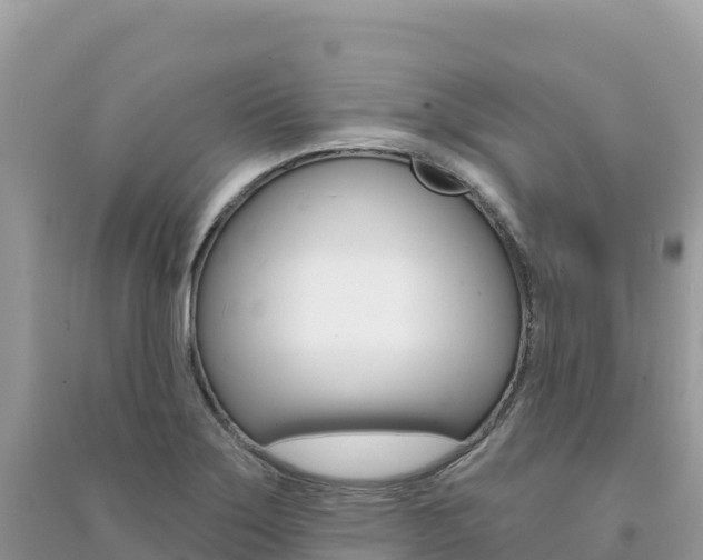 X0000091311275200708101101