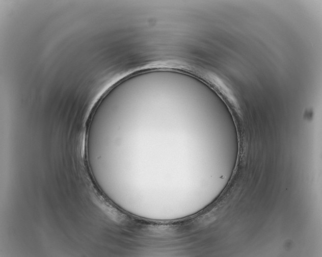 X0000091311276200708101101
