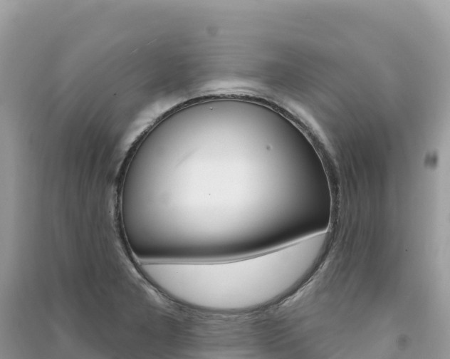 X0000091311277200708101101