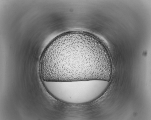 X0000091311279200708101101