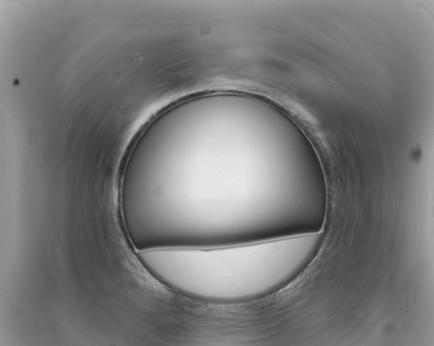 X0000091311280200708101101