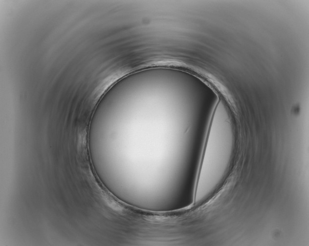 X0000091311281200708101101