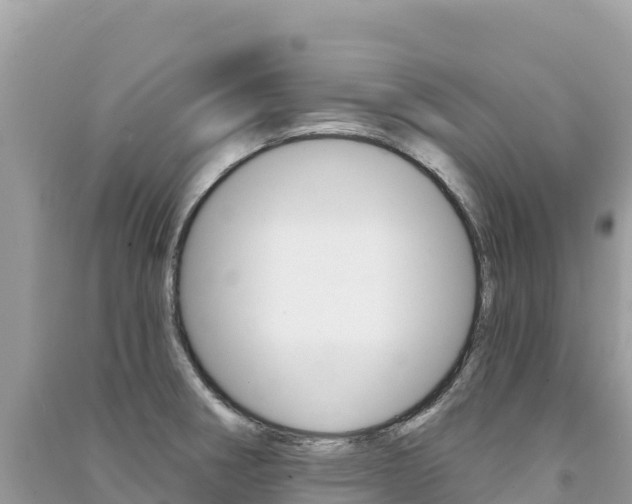 X0000091311282200708101101