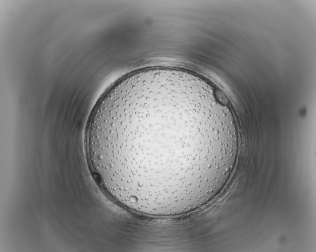 X0000091311283200708101101
