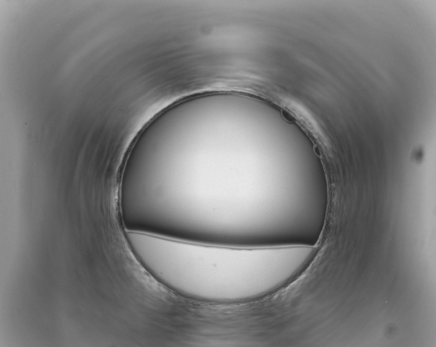 X0000091311284200708101101