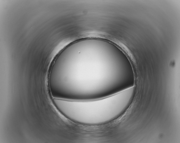 X0000091311285200708101101