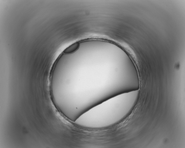 X0000091311287200708101101