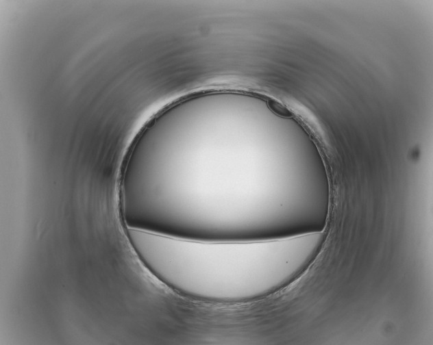 X0000091311288200708101101
