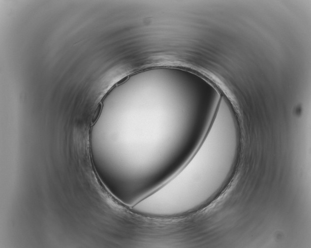 X0000091311289200708101101